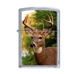 Zippo Buck Head