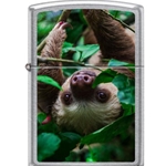 Zippo Sloth in Tree 12673
